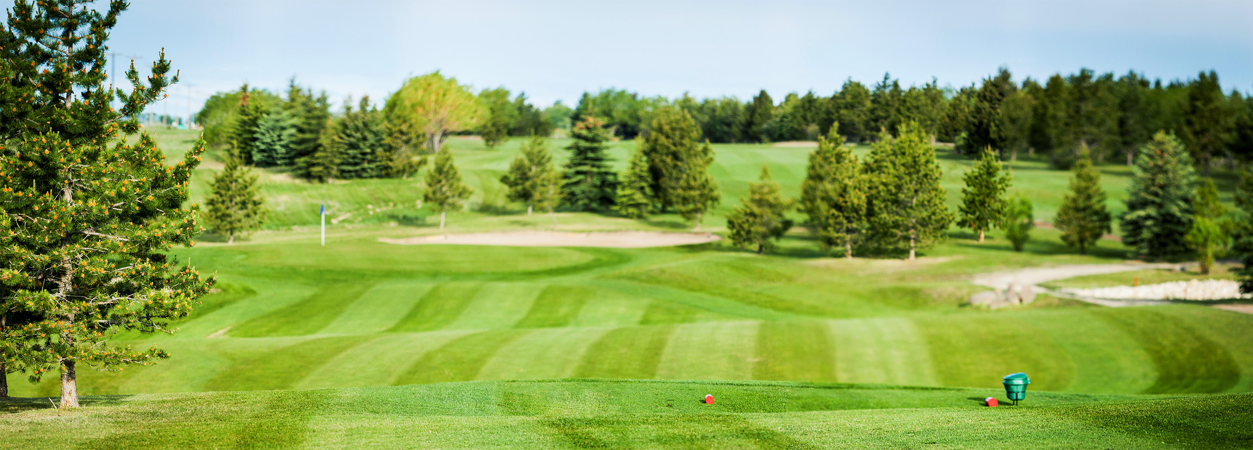 Home - Meadowlands Golf Club at Sylvan Lake